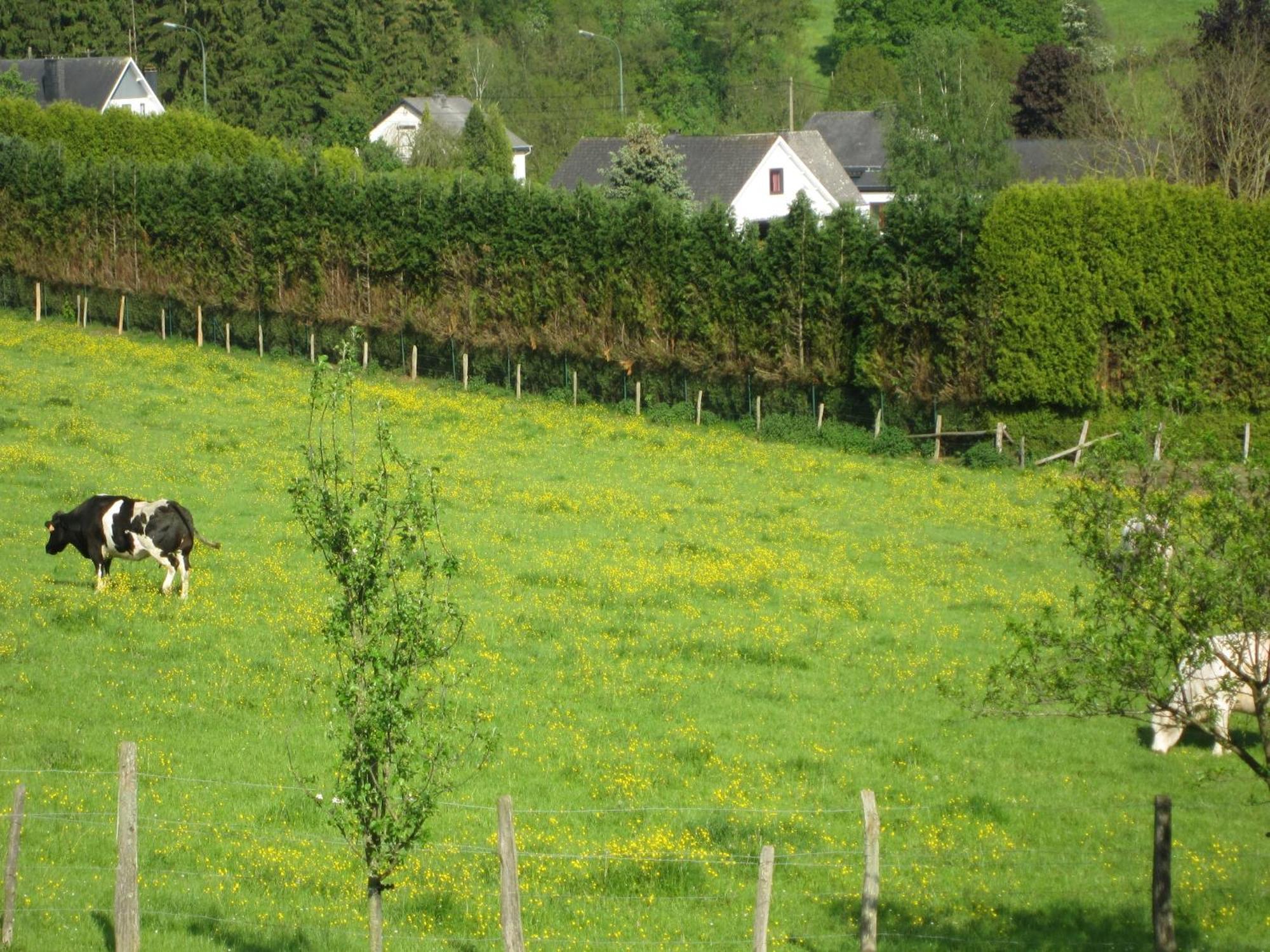Contemporary Holiday Home In Houffalize With Private Garden Zewnętrze zdjęcie